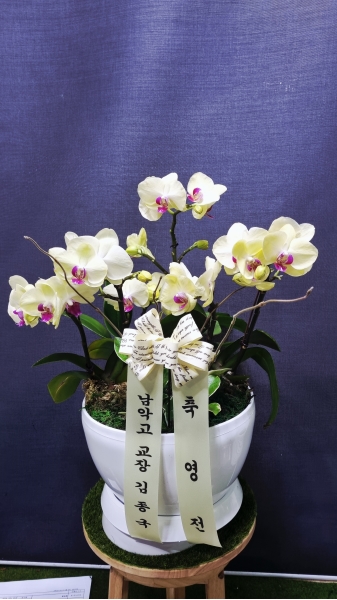 ������ ������ ����� �Բ� ������, ��� ȣ���� �ɹ�� ���� 