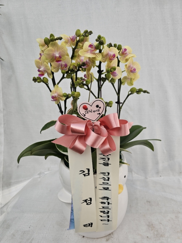 �޽��� �Ǵ� ��Ȱ���� - Smile moon_��Ʋ�� (��) (ȭ�⺯��) �ɹ�� ���� 