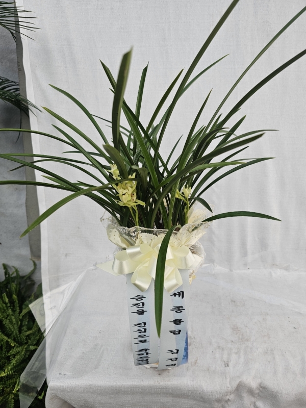 [�λ��̵� ��õ] ���� ���� �Ǿ��ִ� ����� �ɹ�� ���� 