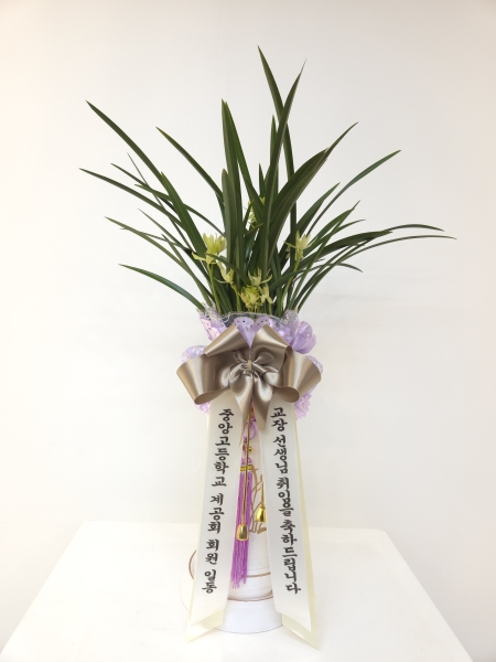 [�λ��̵� ��õ] �Ͼ���� �Ǿ�� ���� ����� �ɹ�� ���� 