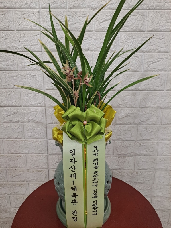 [����]���� �����- Ȳ��� �ɹ�� ���� 