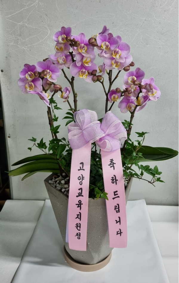 Office & Nature ��ŭ�� ȣ���� ��Ʋ�� �ɹ�� ���� 