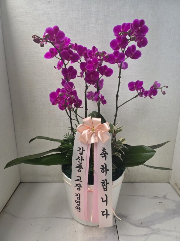 [����]�����ϴ� ���� ��� - �ɺ�ȫ���� ��õȫ (��) �ɹ�� ���� 