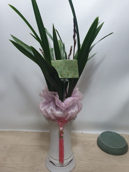 [�λ��̵� ��õ] ���� ���� �Ǿ��ִ� ����� �ɹ�� ���� 