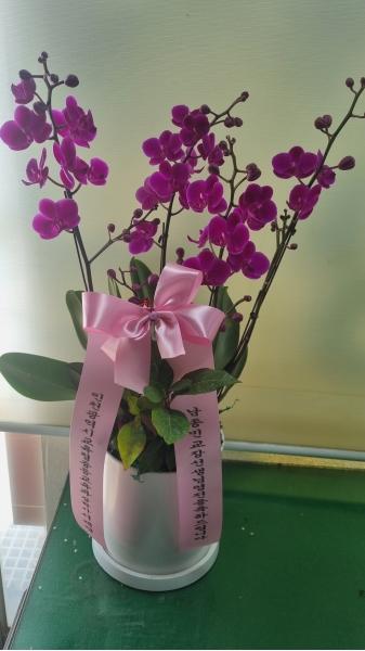 [����]�����ϴ� ���� ��� - �ɺ�ȫ���� ��õȫ (��) �ɹ�� ���� 