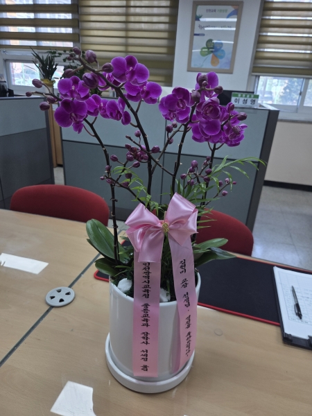 [����]�����ϴ� ���� ��� - �ɺ�ȫ���� ��õȫ (��) �ɹ�� ���� 