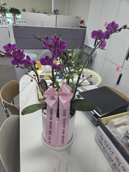 [����]�����ϴ� ���� ��� - �ɺ�ȫ���� ��õȫ (��) �ɹ�� ���� 