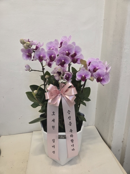 ������ ���� ���� -����ũȣ�� (��) �ɹ�� ���� 