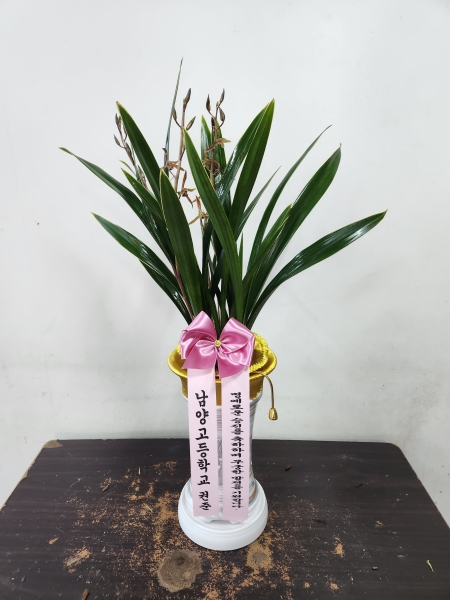 [�λ��̵� ��õ] ���� ���� �Ǿ��ִ� ����� �ɹ�� ���� 