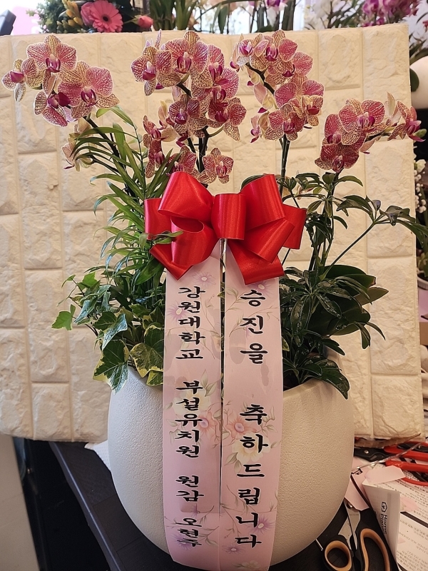 [����]�����ϴ� ���� ��� - ȣ���� ����� (��) (ȭ�⺯��) �ɹ�� ���� 