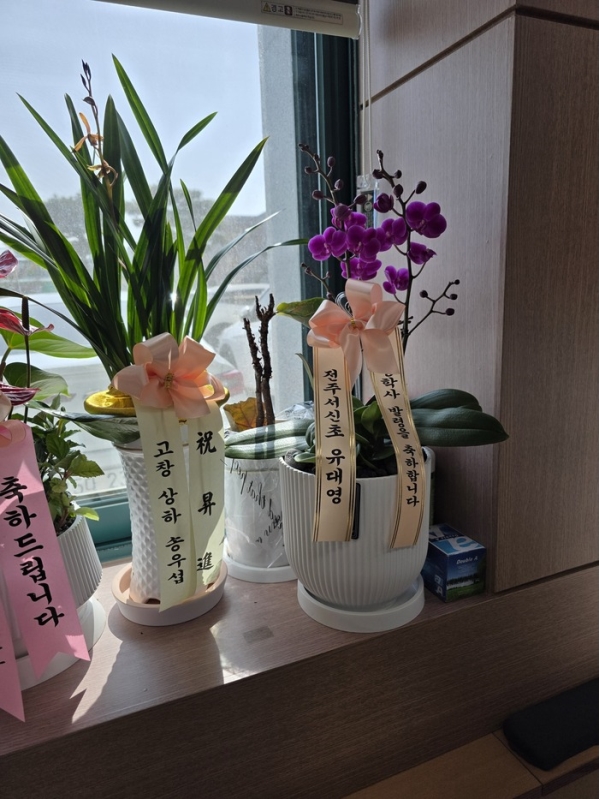 ������ ������ ���, ������ ������ ���� ���� ��ũ ȣ���� ��õȫ �ɹ�� ���� 