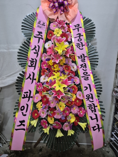 ����3�ܱ⺻ȭȯ �ɹ�� ���� 