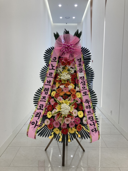 ����3�ܱ⺻ȭȯ �ɹ�� ���� 