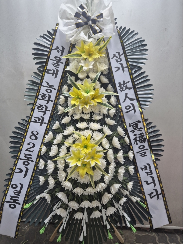 �����ô� ���� ǰ��! - �ö��119 ����3�ܱ⺻ȭȯ  (�������Ʈ) �ɹ�� ���� 