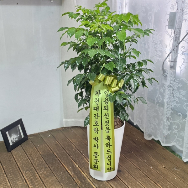 ������õ �������� - ���� �캸��B �ɹ�� ���� 