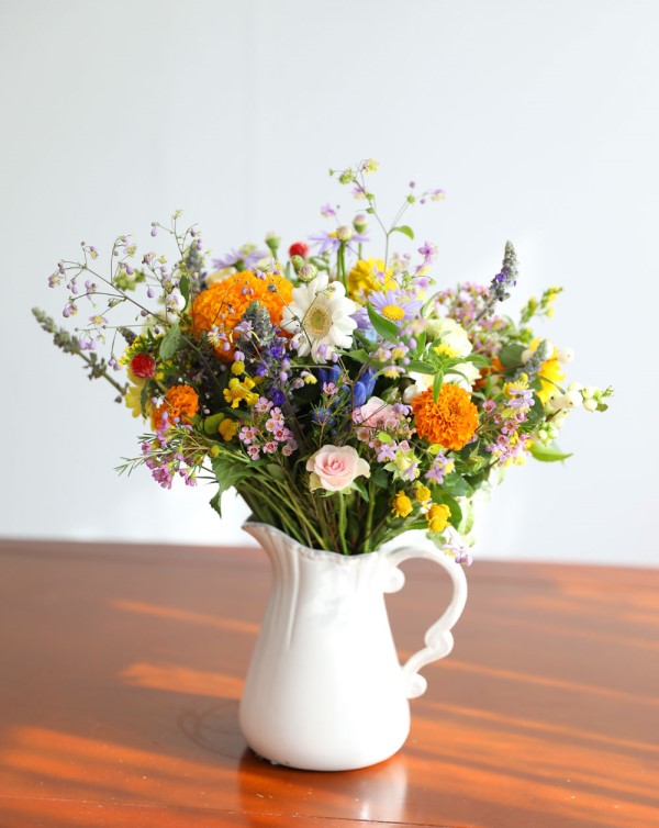 [/ǹ][ȭǰ] French style - Orange pastel ɹ  