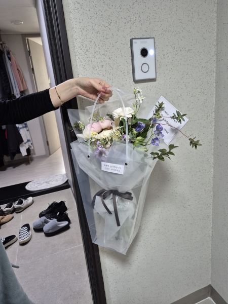 Spring violet - ����� ���� �޻� �ɹ�� ���� 