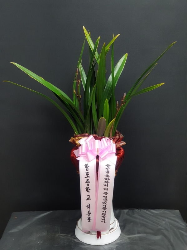 [�λ��̵� ��õ] ������ ����� ���� ���� ����� �ɹ�� ���� 