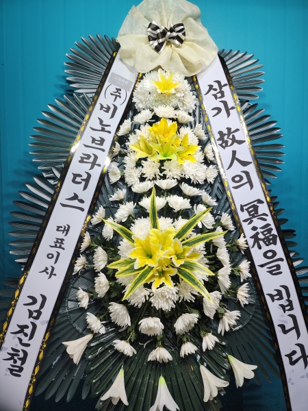 ������ ���� ���� 3�� ȭȯ �ɹ�� ���� 