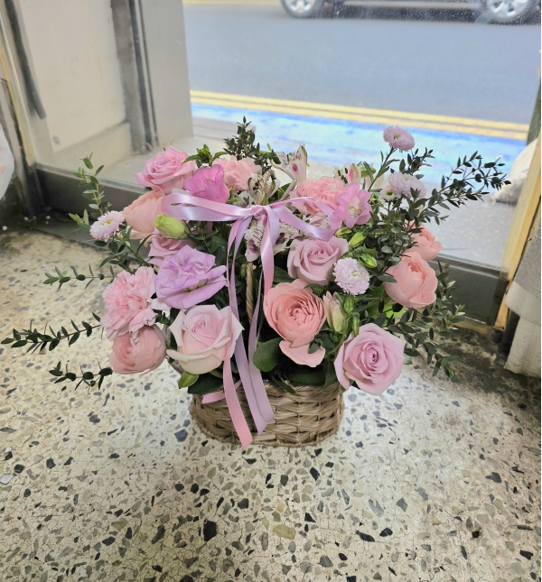 Lovely sunlight �ɹ�� ���� 