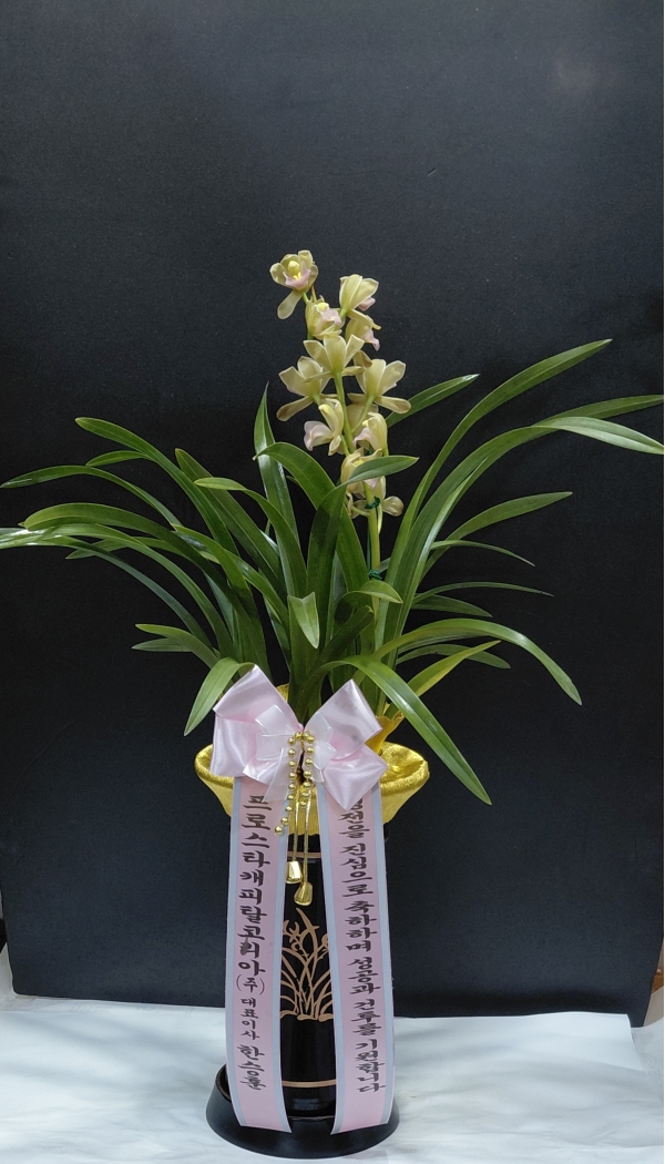 [�λ��̵� ��õ] ���� ���� �Ǿ��ִ� ����� �ɹ�� ���� 