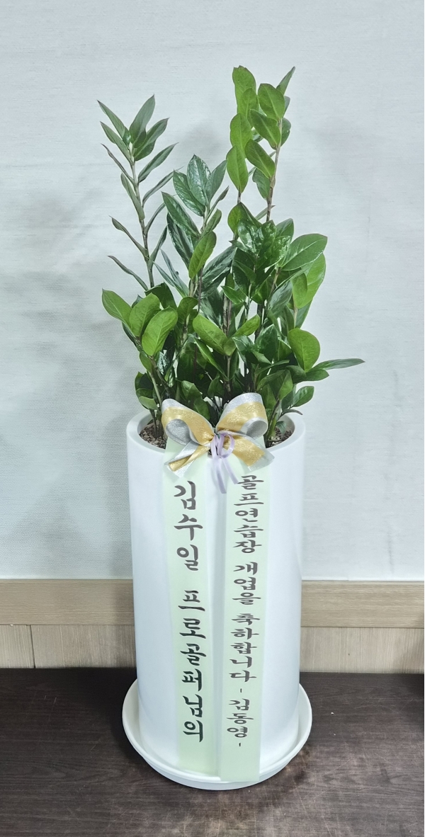 �������� ������õ - �̱׷��� ������ C �ɹ�� ���� 