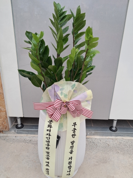 �������� ������õ - �̱׷��� ������ C �ɹ�� ���� 