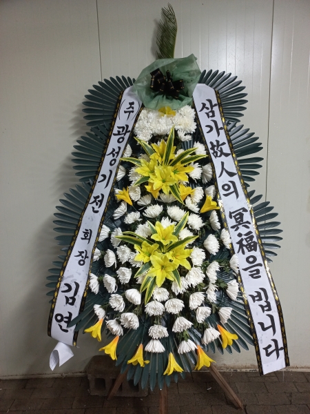 ������ ���� ���� 3�� ȭȯ �ɹ�� ���� 