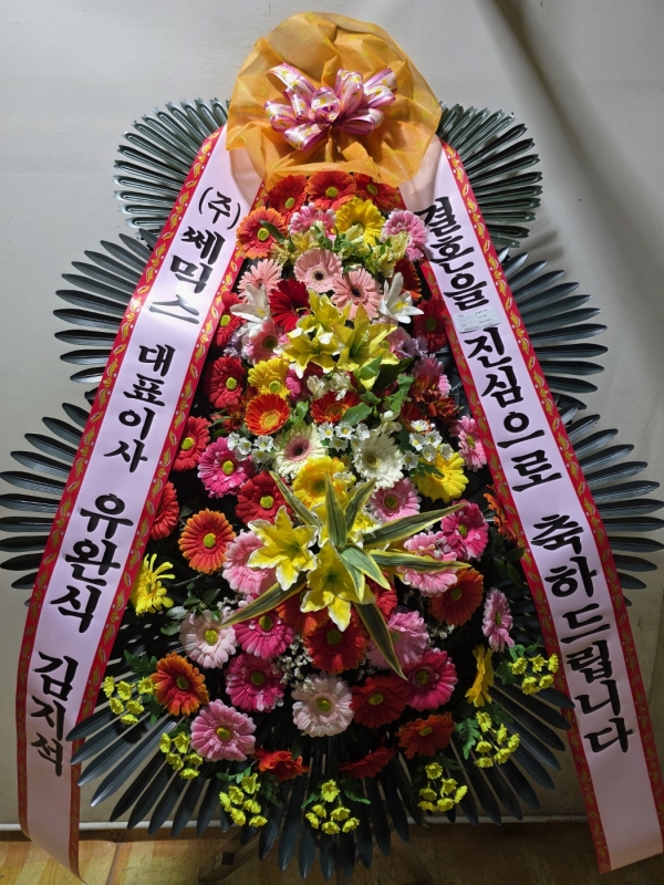 ����3�ܱ⺻ȭȯ �ɹ�� ���� 