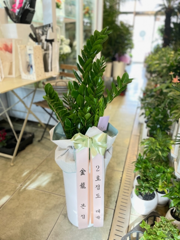 �������� ������õ - �̱׷��� ������ C �ɹ�� ���� 