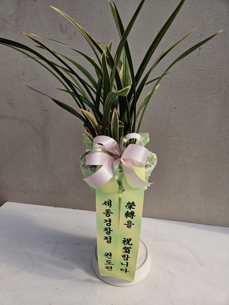 [�λ��̵� ��õ] �Ͼ���� �Ǿ�� ���� ����� �ɹ�� ���� 