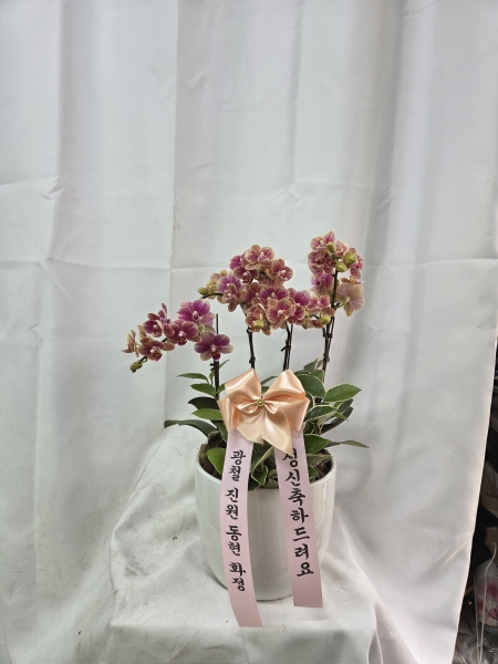 [����]�����ϴ� ���� ��� - ȣ���� ����� (��) (ȭ�⺯��) �ɹ�� ���� 