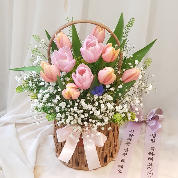 [,ǹ] spring & sweet  ƫ ɹ  
