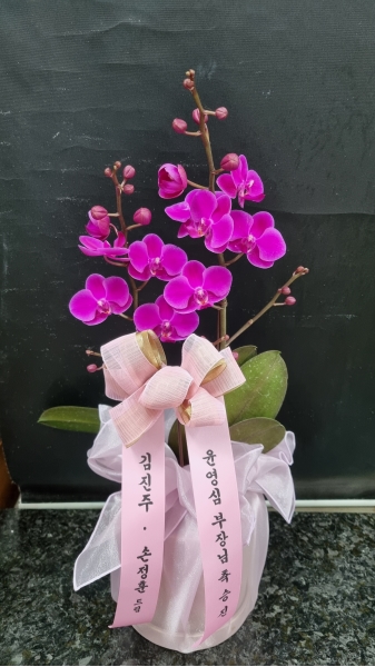 [����] ������ �������� ���ڱ� ���� - ��õȫ (��) �ɹ�� ���� 