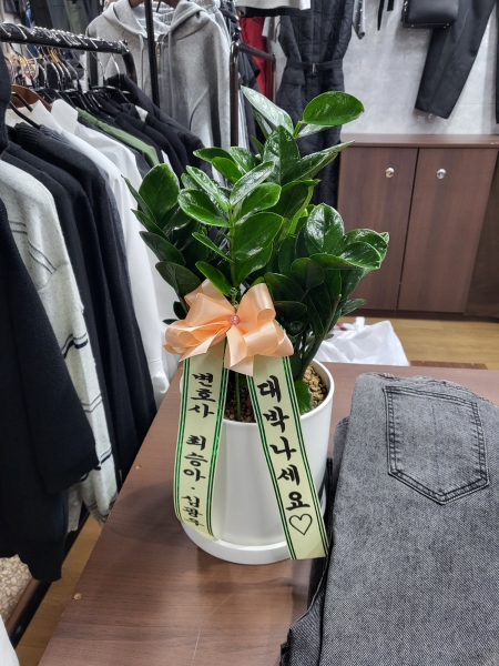 [�����ǹ��] ������ȭ�Ĺ� - ������B ***ȭ�⺯��*** �ɹ�� ���� 