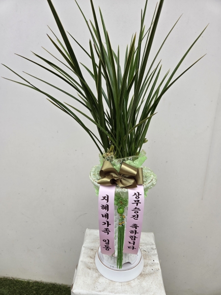 [�λ��̵� ��õ] ���� ���� �Ǿ��ִ� ����� �ɹ�� ���� 