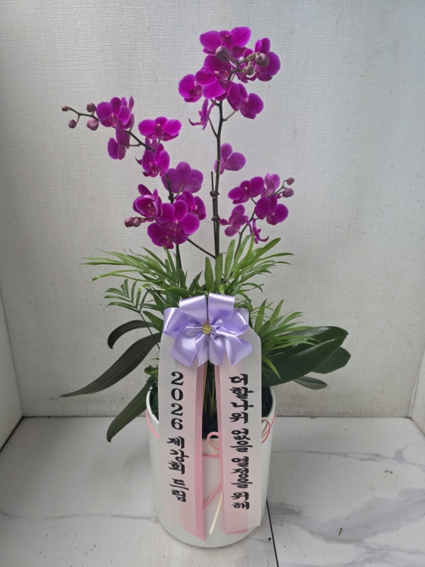 �Ƹ��ٿ��� �ִ� ���� - ������ ��õȫ(ȭ�⺯��) �ɹ�� ���� 