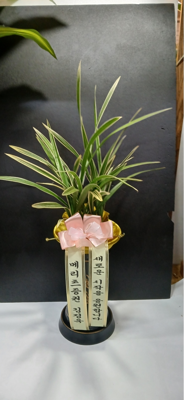 [�λ��̵� ��õ] �Ͼ���� �Ǿ�� ���� ����� �ɹ�� ���� 