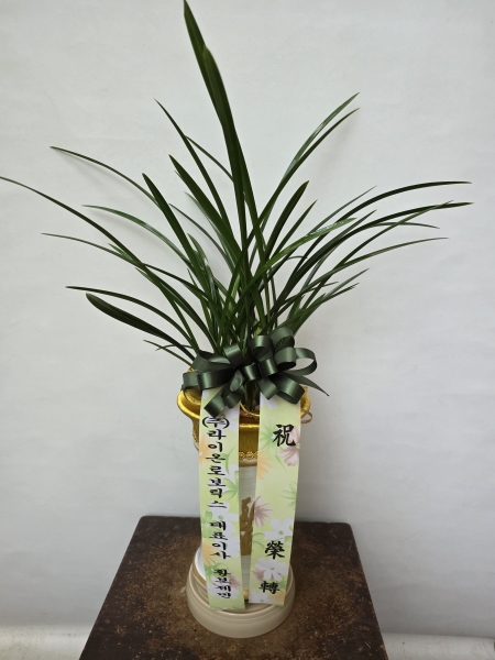 [�λ��̵� ��õ] ���� ���� �Ǿ��ִ� ����� �ɹ�� ���� 