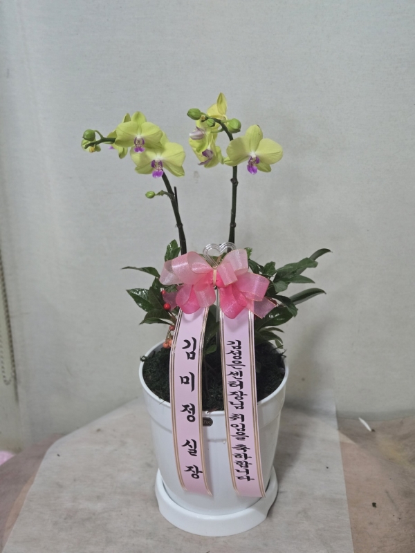 �������� ������ ������ ����ϸ�, ��� ȣ���� �ɹ�� ���� 