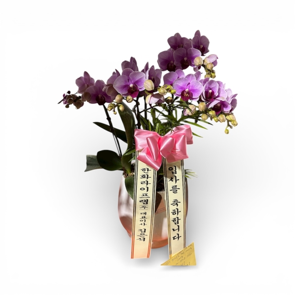 ���� ���� ���� Ư���� ����, ��ũ ȣ���� �ɹ�� ���� 