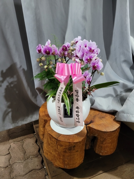 ���� ���� ���� Ư���� ����, ��ũ ȣ���� �ɹ�� ���� 