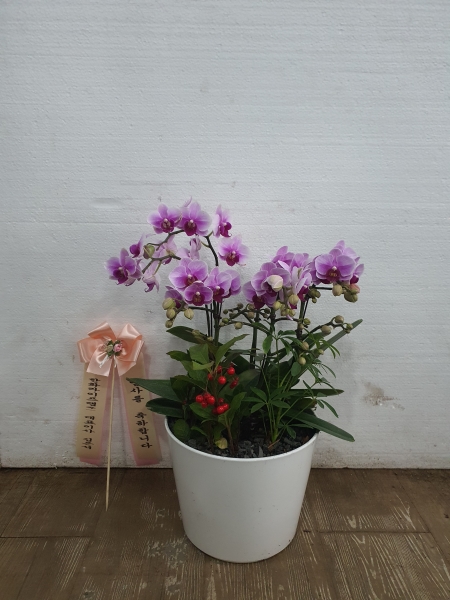 ���� ���� ���� Ư���� ����, ��ũ ȣ���� �ɹ�� ���� 