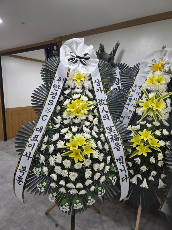 ���� �ֵ��� ���� ����ȭȯ �ɹ�� ���� 