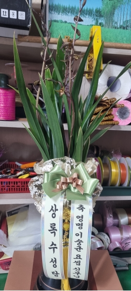 [�λ��̵� ��õ] ���� ǳ���ϰ� �Ǿ��ִ� ���� ����� �ɹ�� ���� 