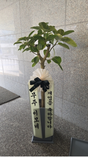 ���� ���� - �ǳ����� ��ȭ���� - ���׸���� ���� �𰥰������� �ɹ�� ���� 