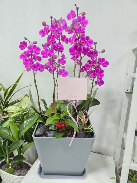 [����]��Ȱ������ ȭ���ϰ� - ��õȫ (��)(ȭ�⺯��) �ɹ�� ���� 