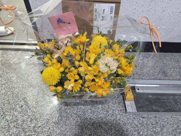 ���𷯺� �ɹ�� ���� 