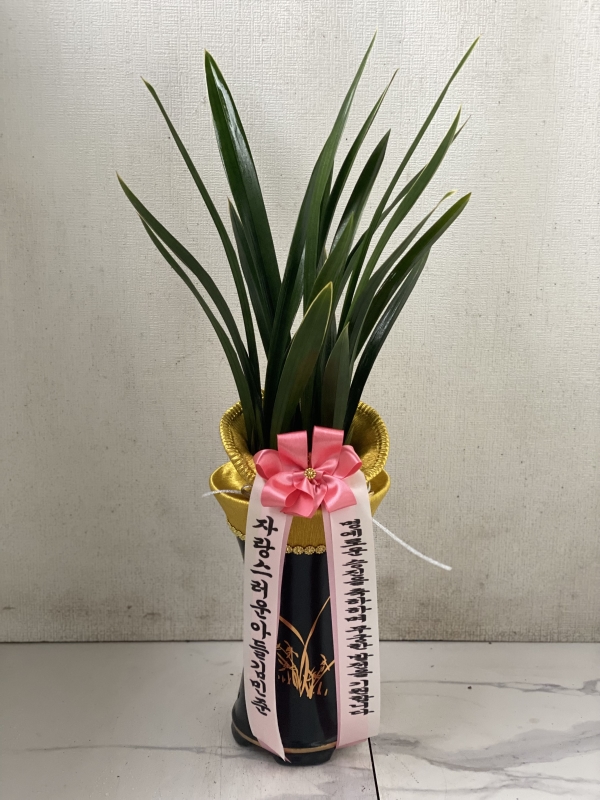 [�λ��̵� ��õ] ���� ���� �Ǿ��ִ� ����� �ɹ�� ���� 