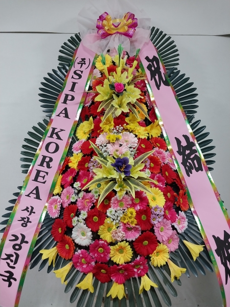 ����3�ܱ⺻ȭȯ �ɹ�� ���� 